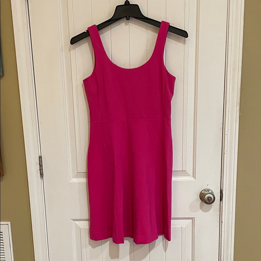 J. Crew Vibrant Pink Mini Dress NWT size small